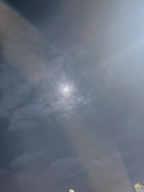 1749571564872184.jpg