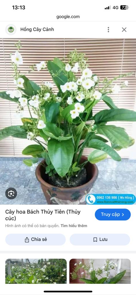 1749717543376166.jpg