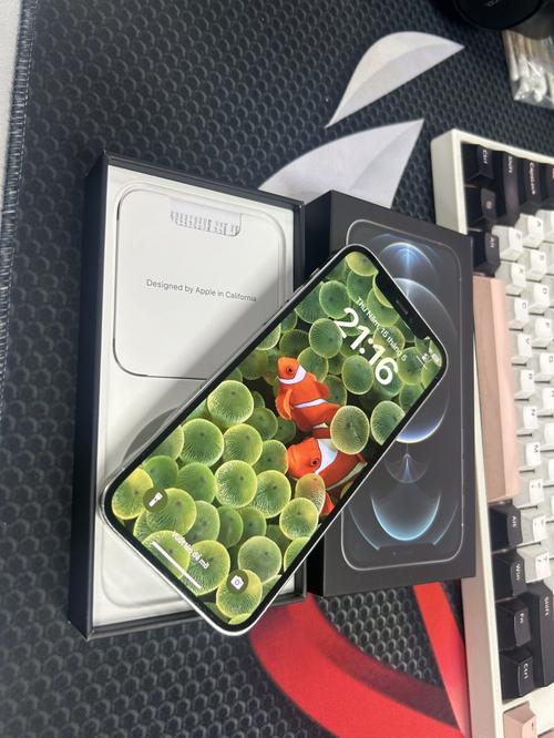 1757560804644868.jpg