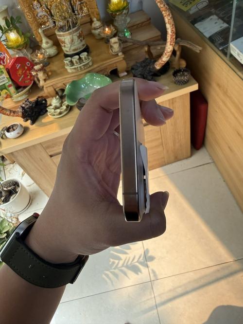 1776137411752574.jpg