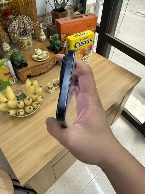 1776501309068282.jpg