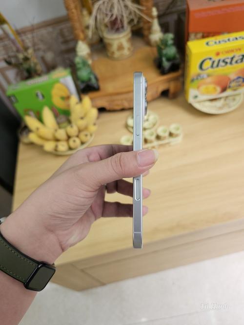 1776666618629130.jpg