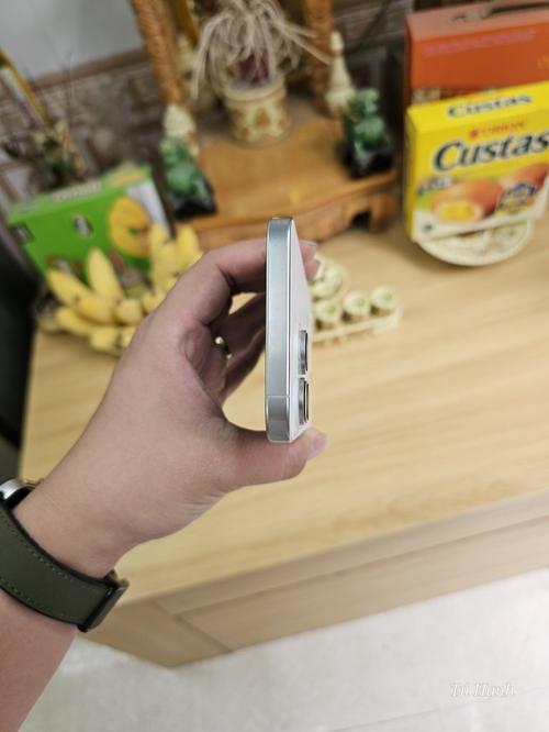 1776666619973354.jpg