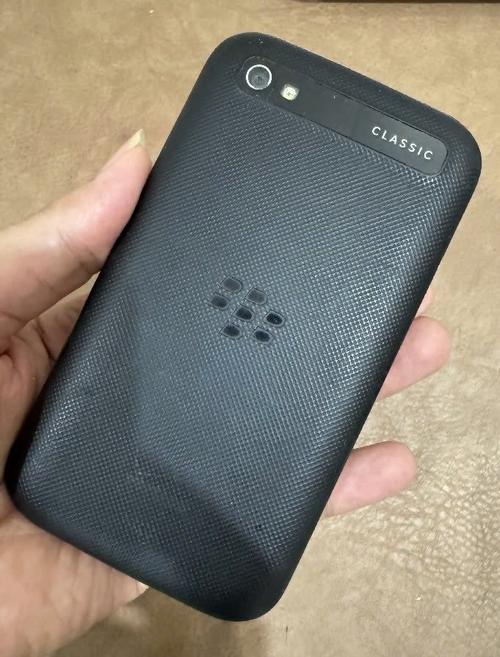 1776669308559325.jpg