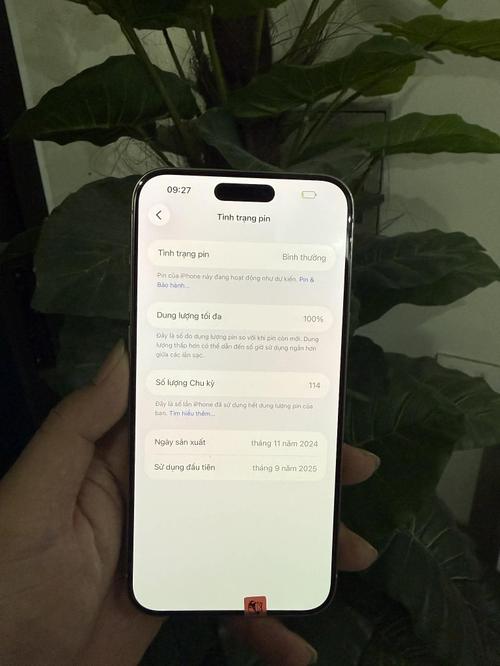 1777102504714816.jpg