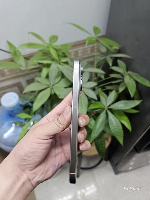 1778329508432798.jpg