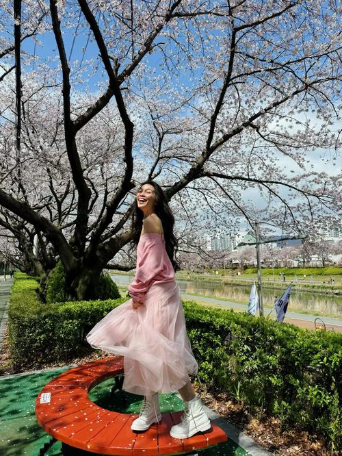 1778894168338269.jpg