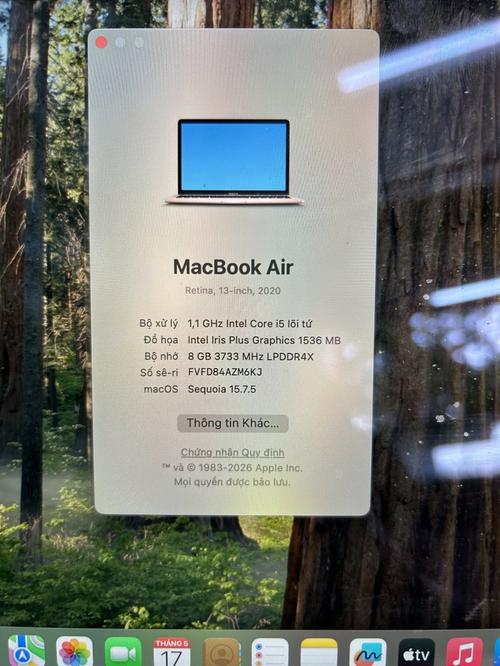 1779001806202719.jpg