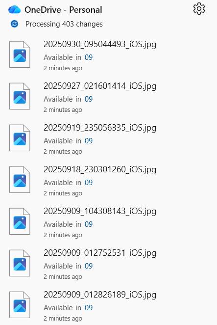 1779245106544595.jpg