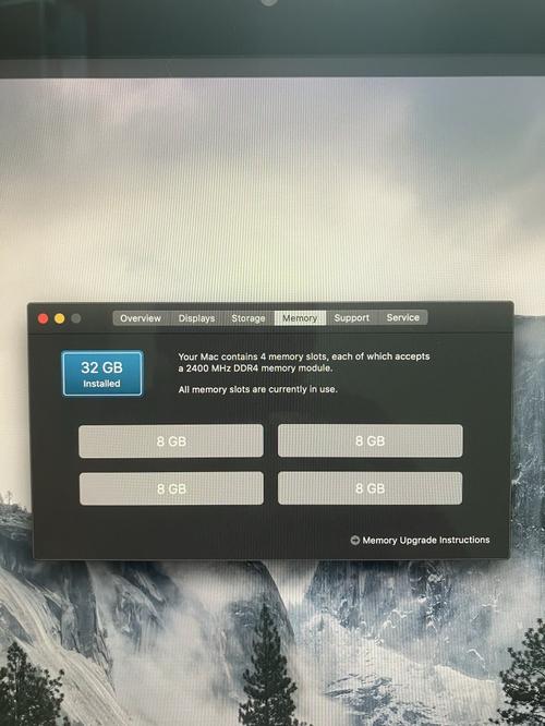 1783421565704742.jpg