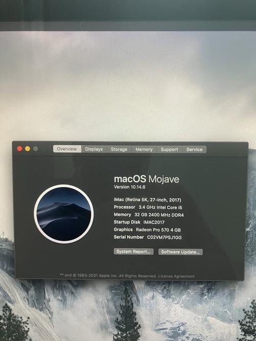 1783421568073068.jpg