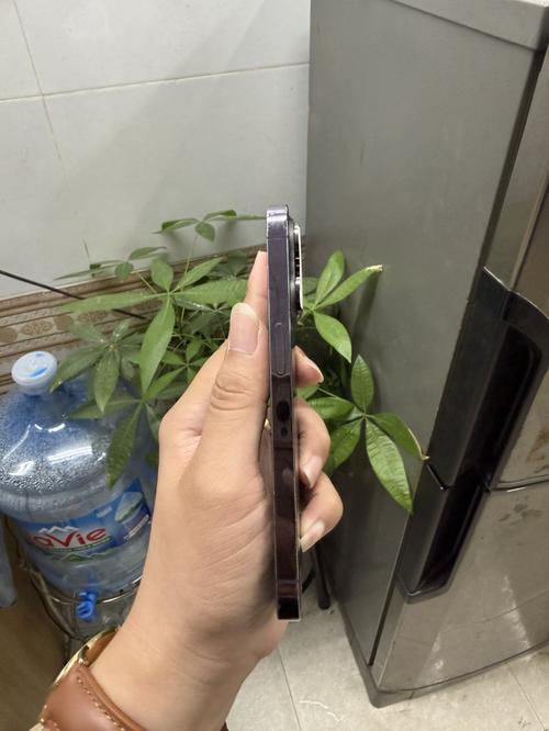 1783498805508169.jpg