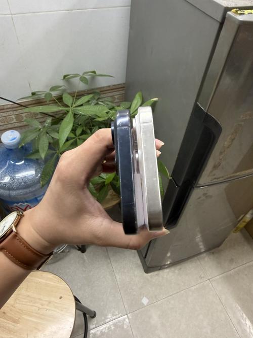 1783511106877678.jpg