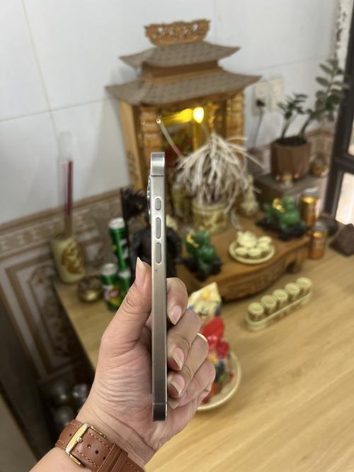 1784277008336333.jpg