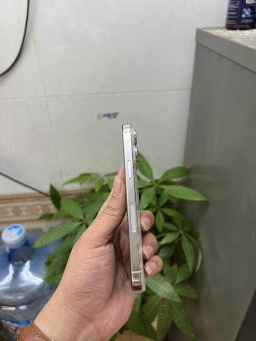 1784528407770575.jpg