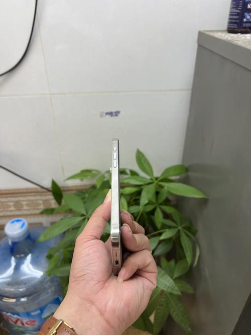 1784528408954721.jpg