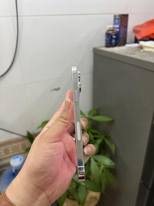 1784539507512316.jpg