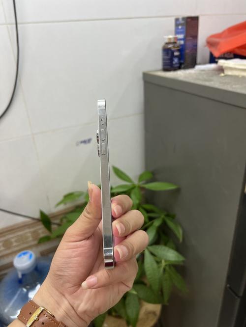 1784539508869180.jpg