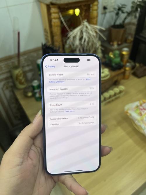 1784539524331980.jpg