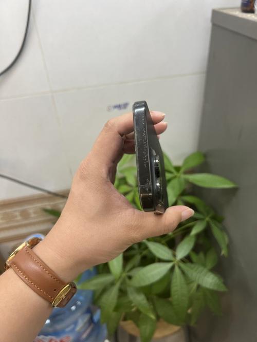 1784964608388776.jpg
