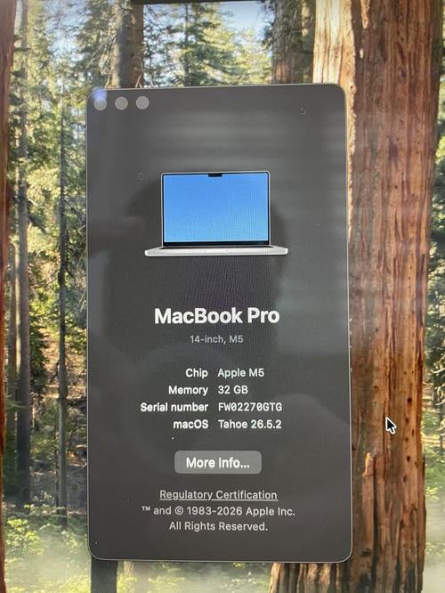 1785396318537157.jpg
