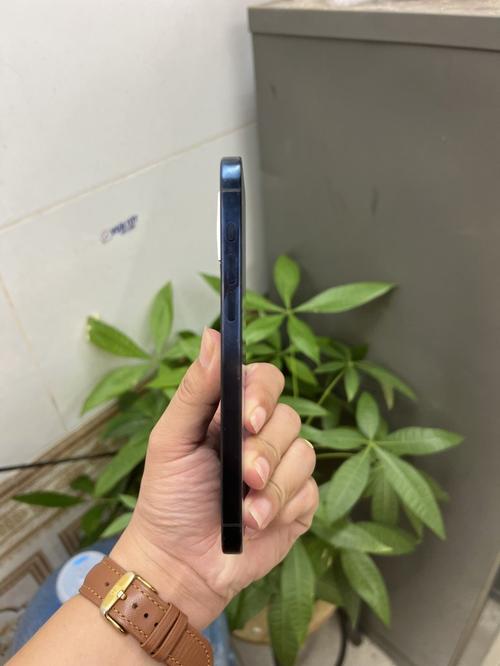 1785572109025512.jpg