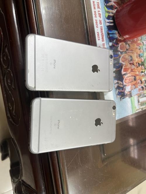 1785651306679810.jpg