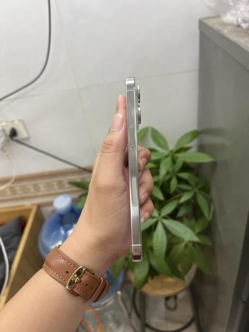 1785682811985184.jpg