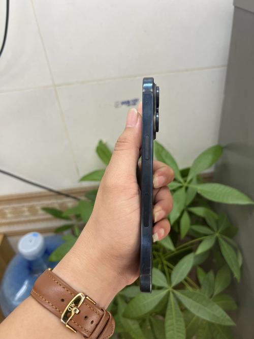 1785739508295690.jpg