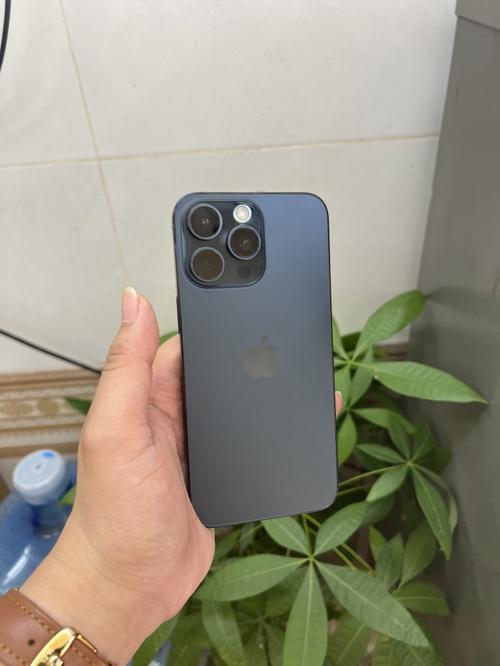 1785739509498132.jpg
