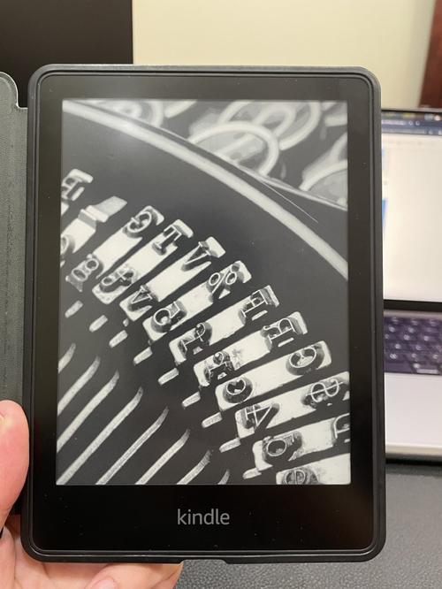 1785775530181778.jpg