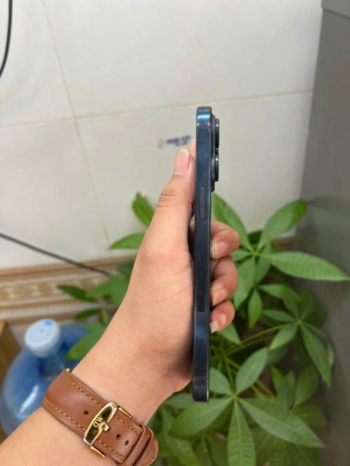 1785823809183440.jpg