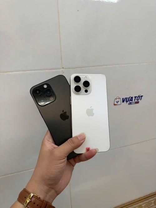 1785916507898266.jpg