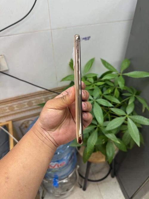 1785998107661081.jpg