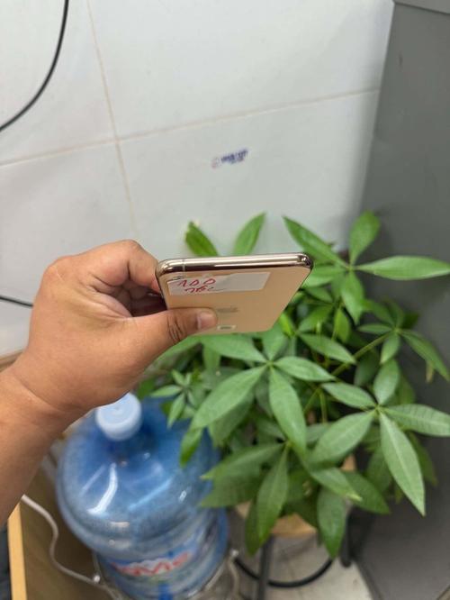 1785998108858620.jpg