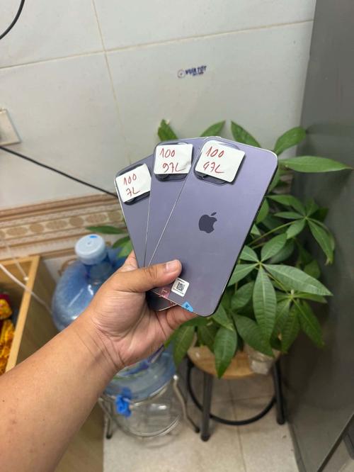1786167906090498.jpg