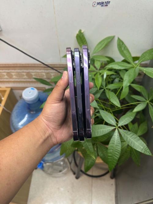 1786167907289216.jpg