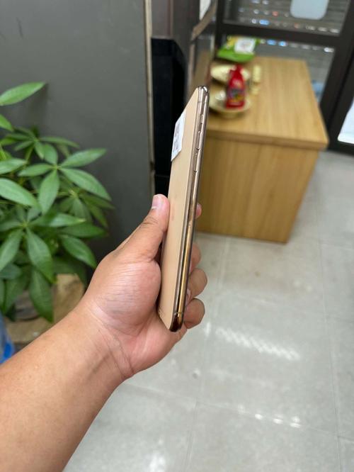 1786268720421782.jpg