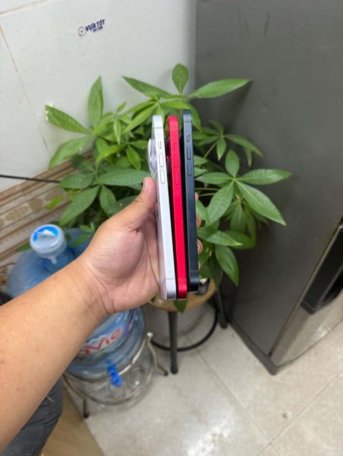 1786442407652558.jpg