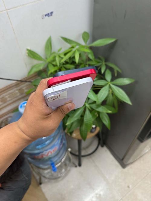 1786442408913162.jpg