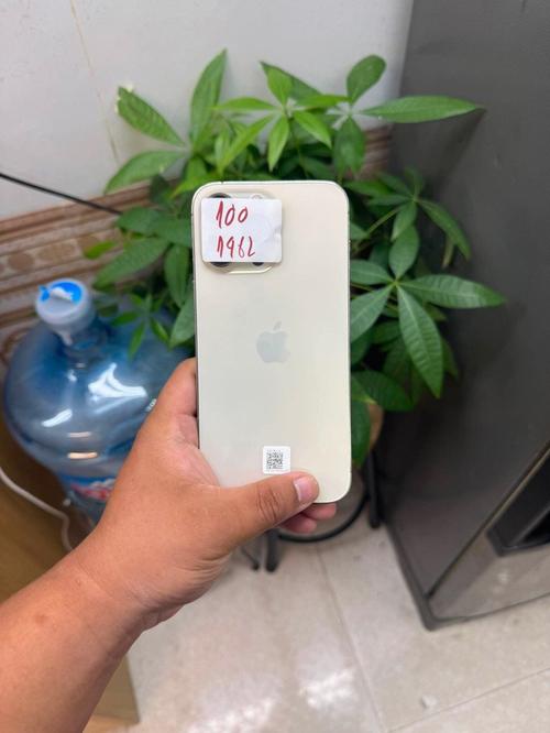 1786530004601974.jpg