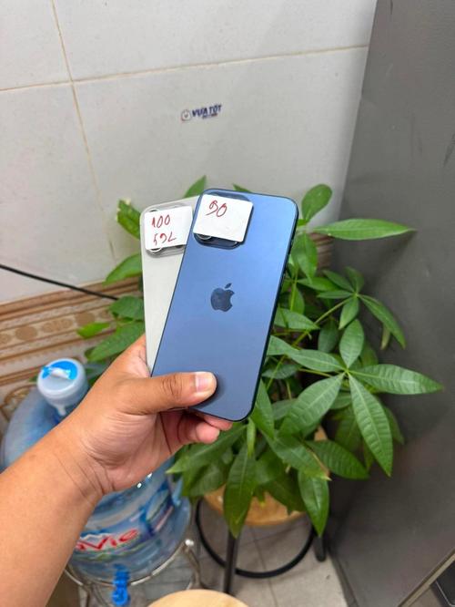 1786610106652645.jpg