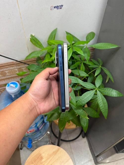 1786610107823148.jpg