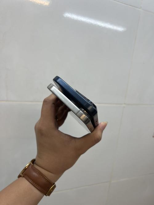1786617008077071.jpg