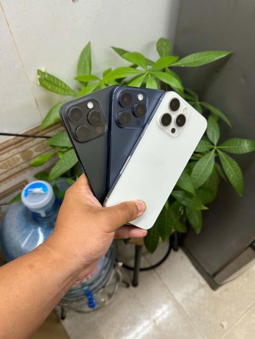 1786695906371760.jpg