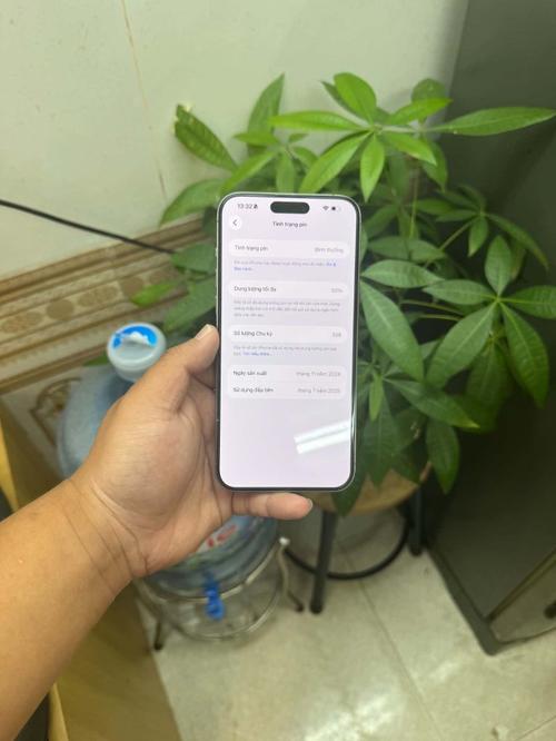 1786776608961800.jpg