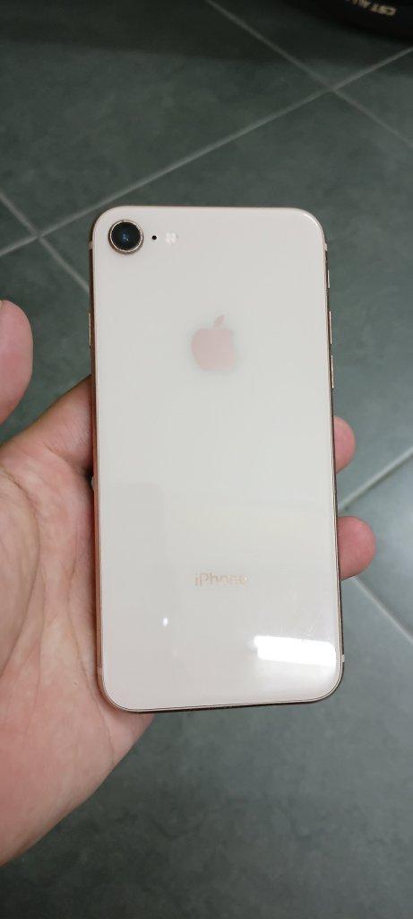 1786986007268910.jpg