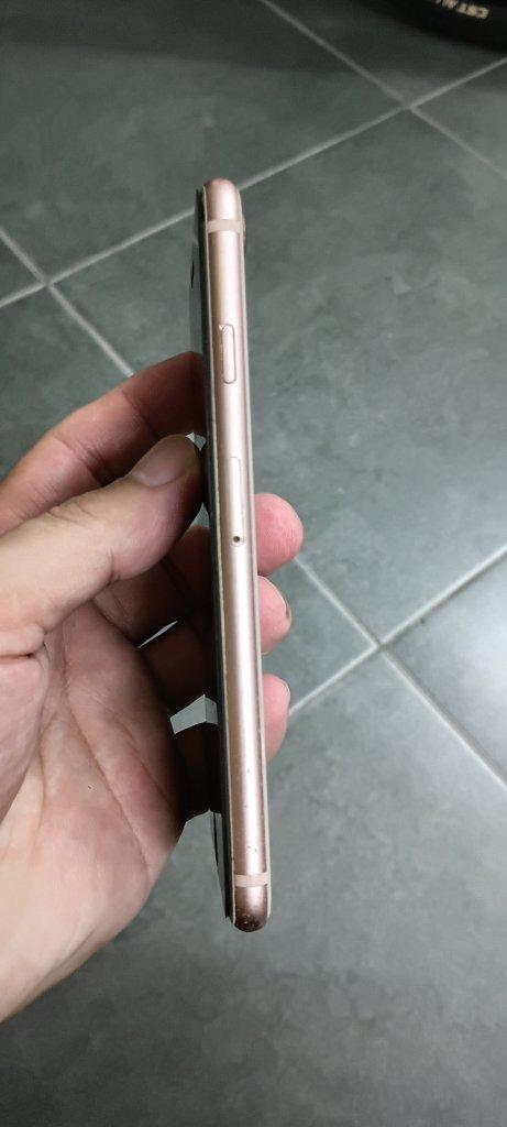 1786986008537336.jpg