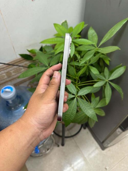 1787048407454699.jpg