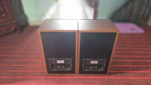 1787121609834444.jpg